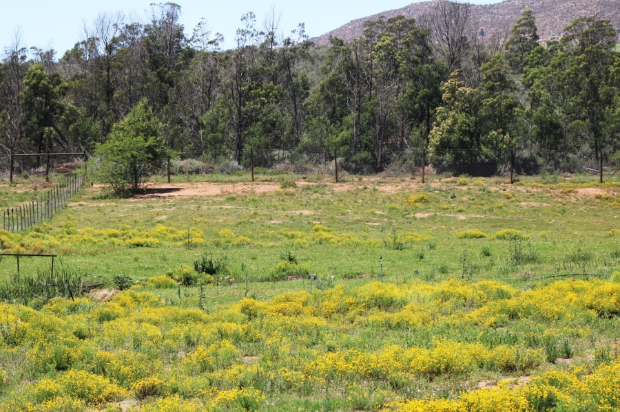 Commercial Property for Sale in Uniondale Rural Western Cape